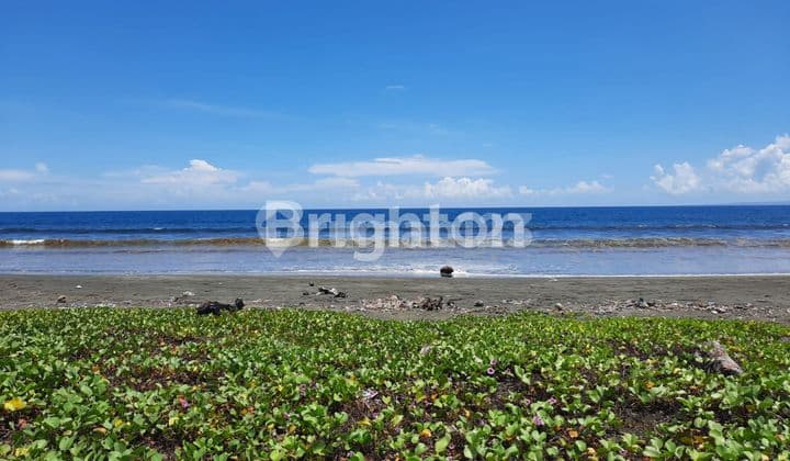 LAND 77 ACRE AT MENDOYO JEMBRANA BALI NEAR TO THE BEACH