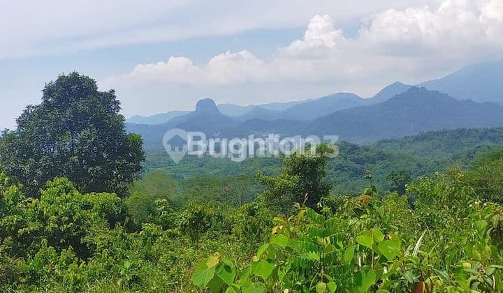 TANAH 1,2HA KAMPUNG KARANGSARI DESA MEKARWANGI CARIU BOGOR TIMUR