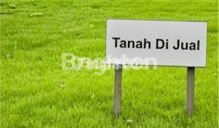 TANAH PURWODADI PASURUAN DI BAWAH HARGA NJOP, COCOK UNTUK GUDANG, PERUMAHAN DLL