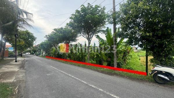 Land For Sale In Tumbak Bayuh Canggu Close to Pererenan Beach Suitable For Villa