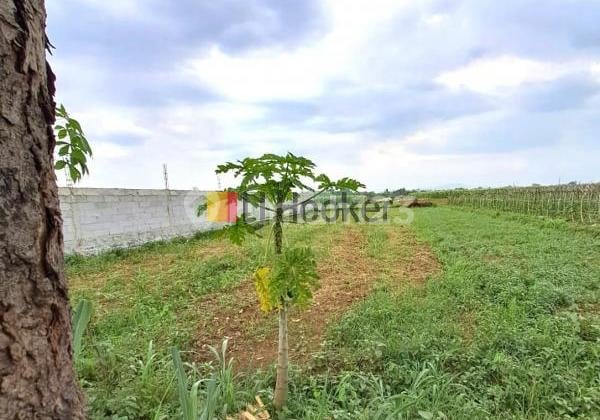 Kavling Siap Bangun Harga Per Meter Di Bojong Area Jawa Barat