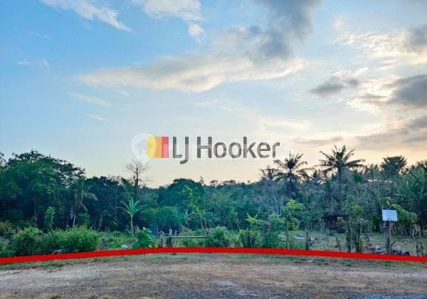 19 Are Land In Dauh Peken Tabanan Close to Main Road Dr. Ir. Soekarno and Yeh Gangga Beach Suitable For Housing