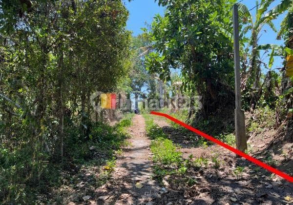Tanah View Sawah di Sukawati Gianyar Cocok Dibangun Villa