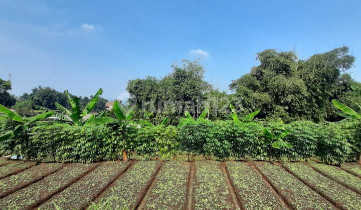 Dijual Tanah Asri Kavling di Cilame Bandung Barat
