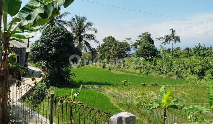 Tanah Cocok untuk Bangun Villa di Cijeruk Kabupaten Bogor