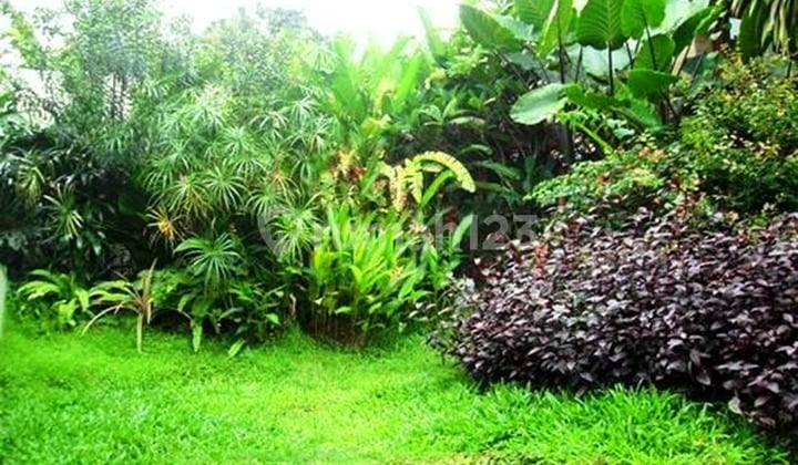 Modern Newly Renovated Quiet And Secure Area Close To Jis