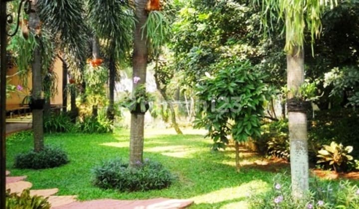 Premium Location, Spacious Yard, Move-in Ready, Quiet, Safe and Comfortable