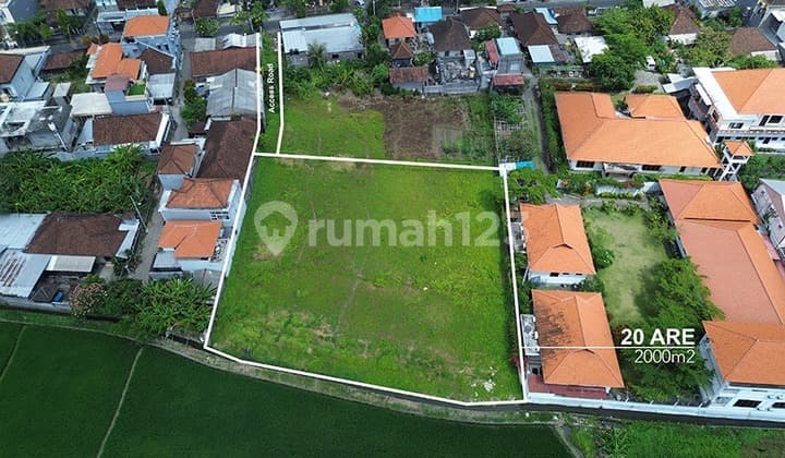 Leasehold - Tanah Sewa 2000 m2 yang Tenang dengan Pemandangan Sawah di Babakan, Canggu