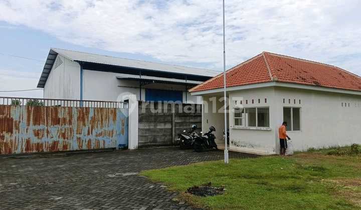 Gudang Patian Rowo Nganjuk