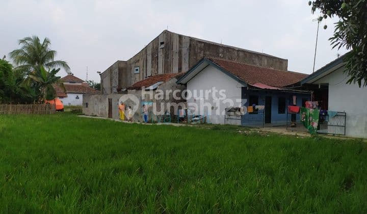 Rumah Burung Walet di Rangkas Bitung, Tangerang. Harga Murah