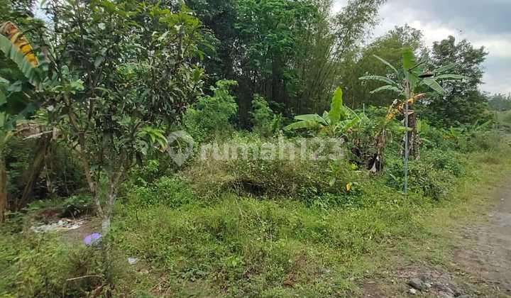 Affordable Land Suitable for Kost Investment South of UII Campus