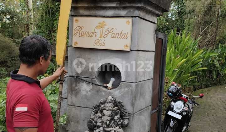 Kavling Tabanan,bali,harga Nego