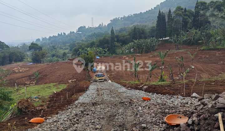 KAVLING CISARUA,PUNCAK,HARGA NEGO
