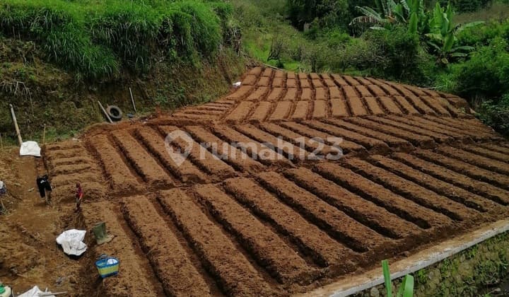 Kebun Subur di Batu Jawa Timur