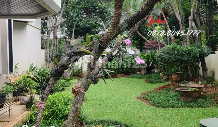 Old House Premium Location Jl. Denpasar, Mega Kuningan, Jakarta