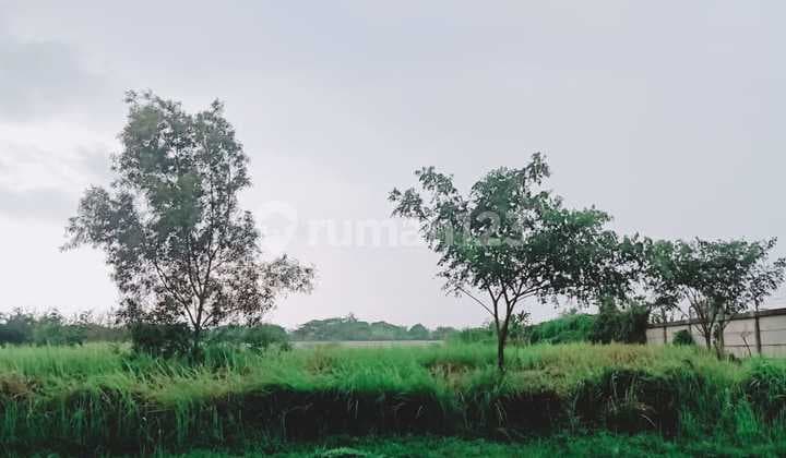 Kavling Hook 1,1 Ha Zona Industri Deltamas Cikarang Pusat