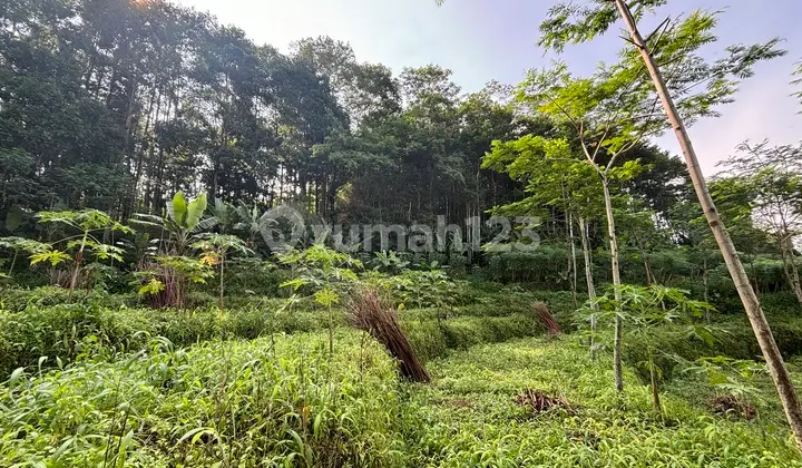 Tanah SHM Depan Pabrik Aqua, Kolam Renang Mangli Wonosobo, Pecahan Luas 1.492 M2