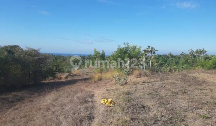 Termurah, Tanah Dekat Pantai di Karangasem Bali. SHM Luas 4ha