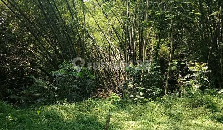 Tanah seluas 1427 m² siap Bangun di Kanigoro Blitar Jawa Timur