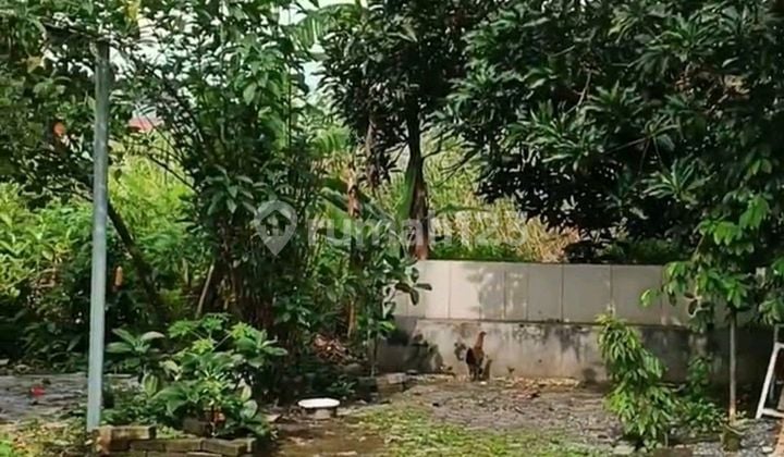 Bisa Beli Separuh Termurah Cuma 6jt/m Jual Cepat Butuh Uang Tanah Belakang Maspion 1 Jalan Jeruk Sawotratap Wage Sidoarjo Dekat Jalan Kembar Bisa Beli Separuh Termurah Cuma 6jt/m Jual Cepat Butuh Uang Tanah Belakang Maspion 1 Jalan Jeruk Sawotratap Wage Sidoarjo Dekat Jalan Kembar
