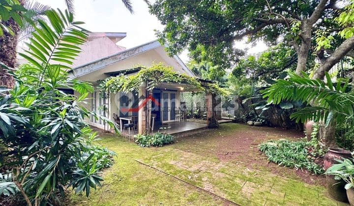 Rumah Halaman Luas di Pejaten Jatipadang Jakarta Selatan
