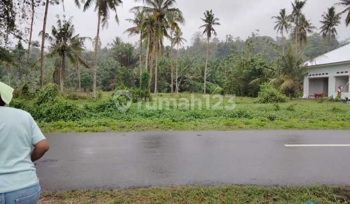 Dijual Cepat Dan Murah Tanah Datar Lokasi Pinggir Jalan Propinsi Suli, Salahutu, Maluku Tengah