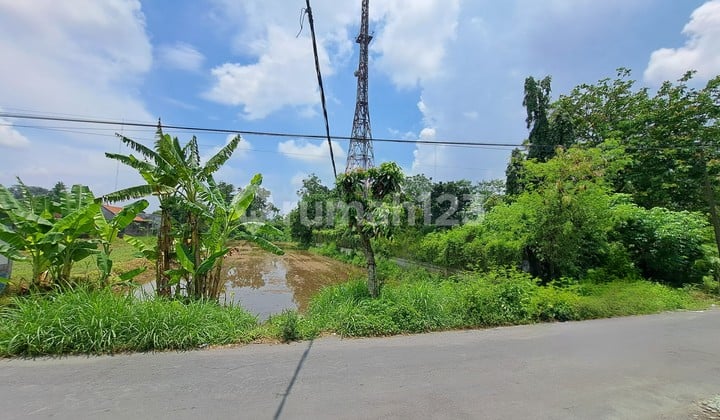 Dijual Lahan Tanah Seluas 2383 m2 Bebas Banjir Cocok untuk Dibangun Resto atau Hunian di Kalasan, Sleman, Yogyakarta