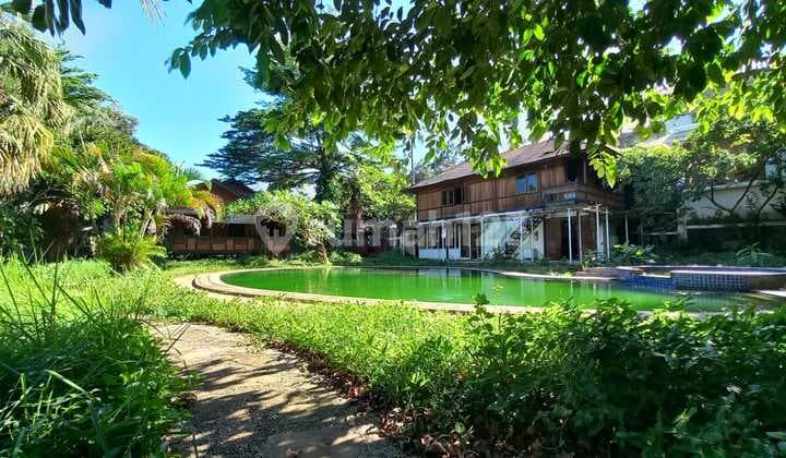 Jual Lelang, Rumah Luas Asri With Pool, Garden Lokasi Strategis di Pondok Labu, Jakarta Selatan