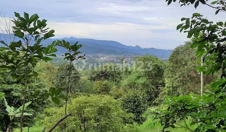 Dijual Tanah Kebun Dengan Bangunan Di Leuwimekar, Leuwiliang Bogor