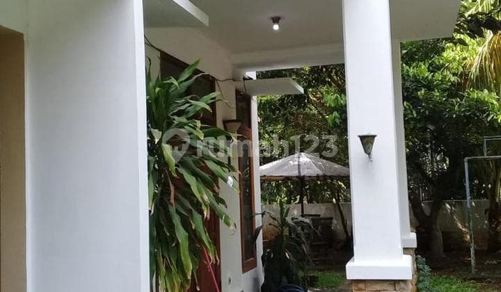 Rumah dengan Kolam Renang di Bintaro