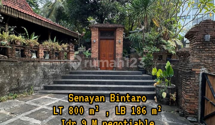 Quick Sale: Pendopo Senayan House in Bintaro, Price 11 Million.