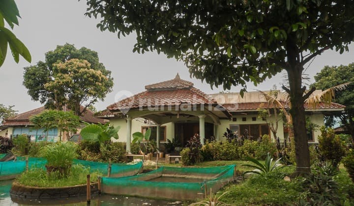 Rumah, 1 Lantai, di Ciomas,