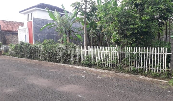 Tanah Murah Purwokerto Dekat Kampus Unu