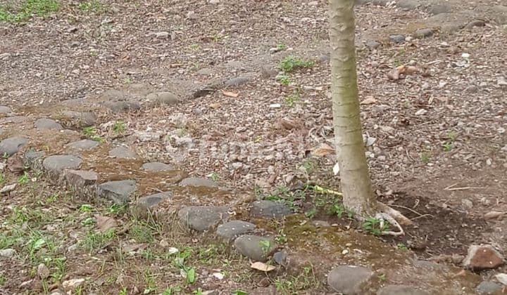 Dijual Tanah Babakan Purbalingga Akses Gang Mobil Masuk