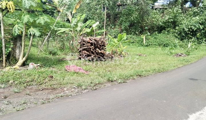 Tanah Murah Purwokerto Dekat Smk75purwokerto