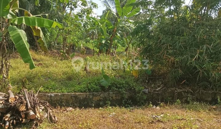 Dijual Tanah Di Planjan Babakan Purbalingga