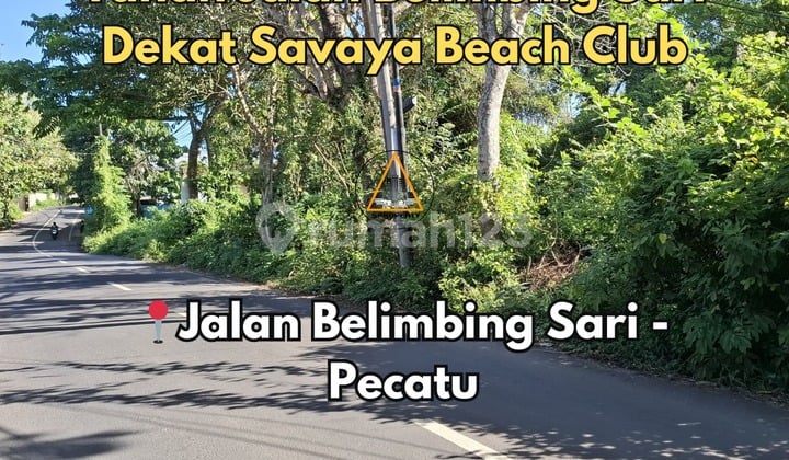 Tanah Jalan Utama Belimbing Sari Pecatu Dekat Savaya Beach Club