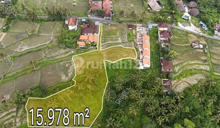 Beautiful Vacant Land in Kenderan Ubud With Amazing View