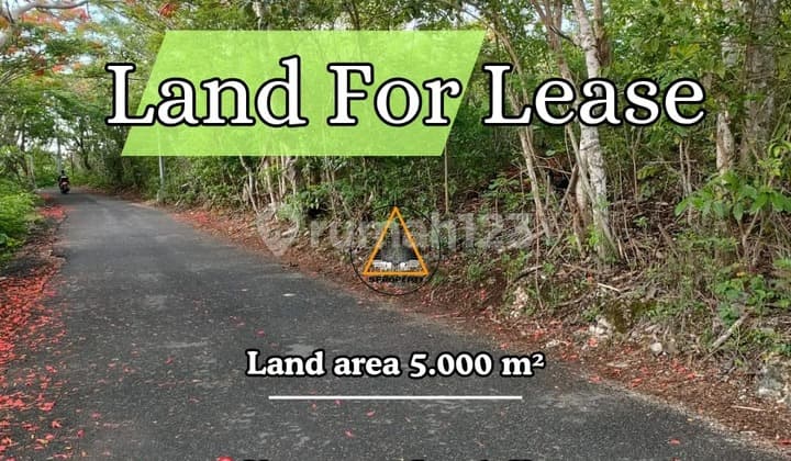 LAND FOR LEASEHOLD WITH OCEAN VIEW IN A TOURISM ZONE UNGASAN