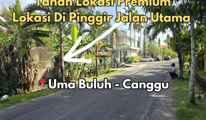 Tanah Pinggir Jalan Utama Uma Buluh Canggu / Kayu Tulang Utara
