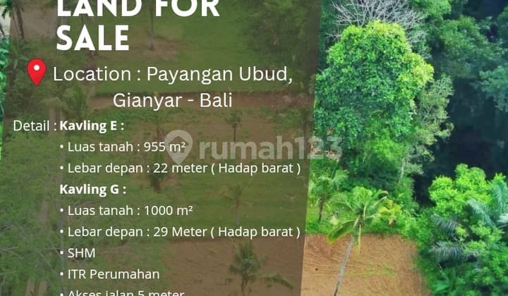 For Sale: Exotic Land in Ubud with Jungle & River View