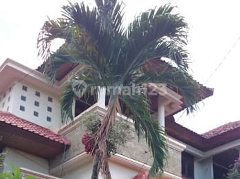 Rumah 3 Lantai Full Furnished di Denpasar Barat