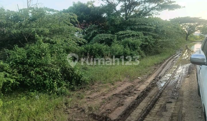 Dijual Tanah Metro Tanjung Bunga Lokasi Menggigit Jalan