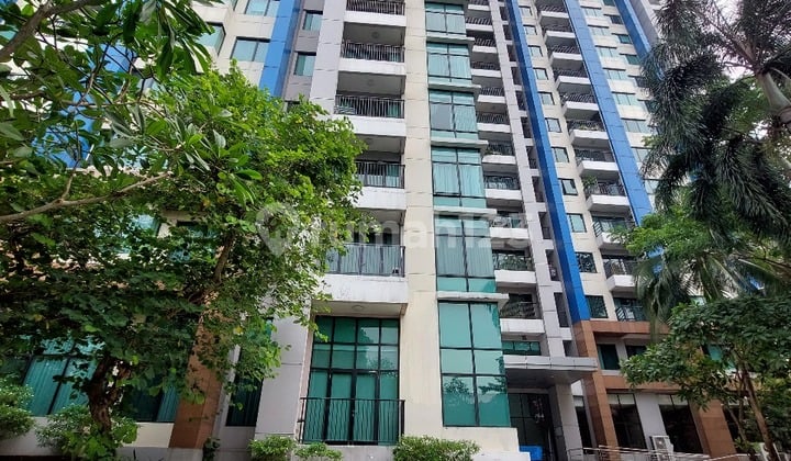 Apartement Hamptons Park Full Furnished Bagus Lokasi Strategis