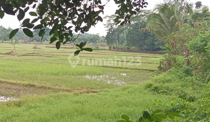 Tanah Murah di Setu Bekasi Dekat Harvest City