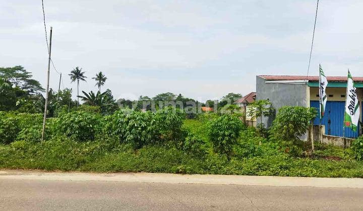 Tanah Murah Untuk Perumahan di Setu Bantar Gebang Bekasi