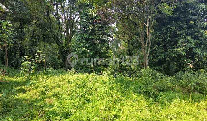 Lahan murah Megamendung 7 menit dari jalan raya Puncak Bogor