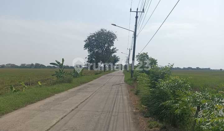 Tanah 100 ha Zona Industri di Cabang bungin kab Bekasi