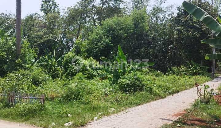 Tanah Kavling Cocok Untuk Rumah Usaha Dekat Perumahan Besar