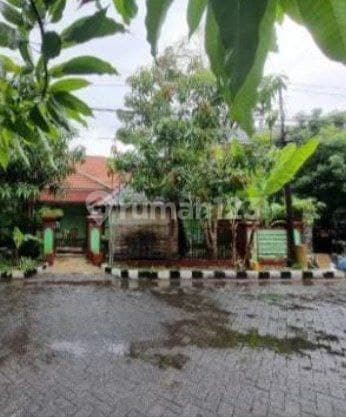 7.94Jt/M Rumah Lt535 Hitung Tanah Rungkut Harapan Jalan Utama/Kembar Dkt Baruk, Nginden, Merr, Penjaringan, Pandugo